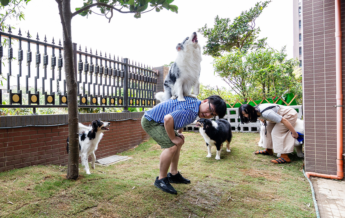 「执子之爪」Happy宅，4只汪の游乐园之家，养宠教科书~ 